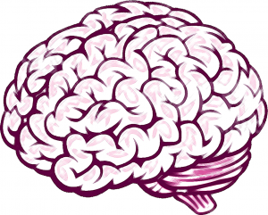 Mind reading in CBT- Image of brain